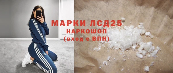 индика Медвежьегорск