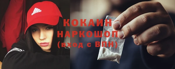 индика Медвежьегорск