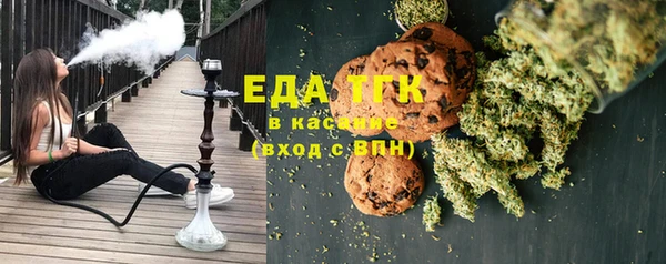 индика Медвежьегорск