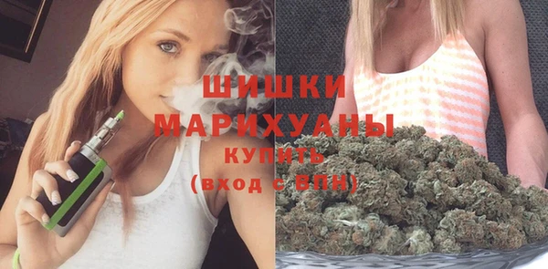 индика Медвежьегорск