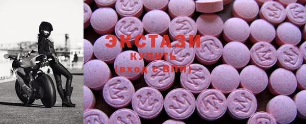 индика Медвежьегорск