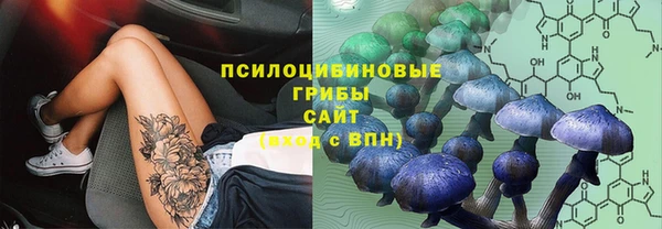 индика Медвежьегорск