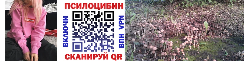 Псилоцибиновые грибы ЛСД  Навашино 